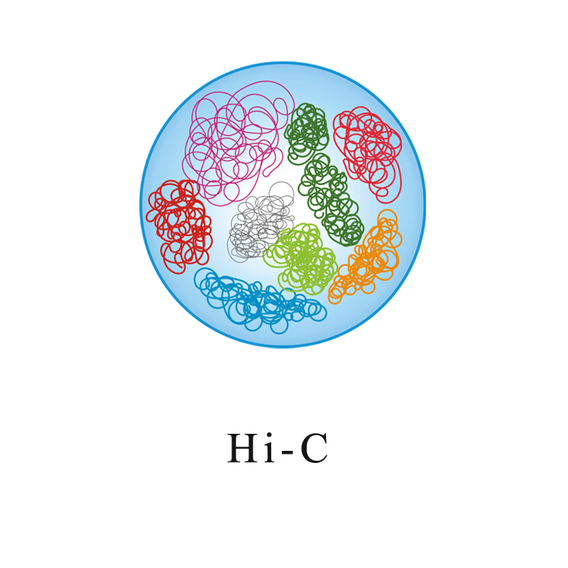Epigenomics