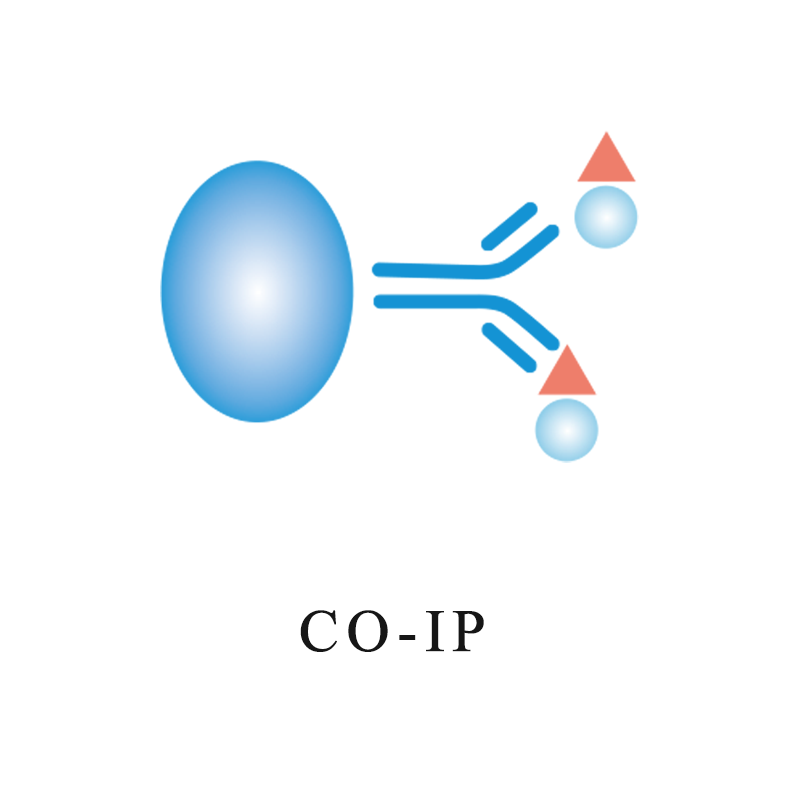 Molecular Biology Services