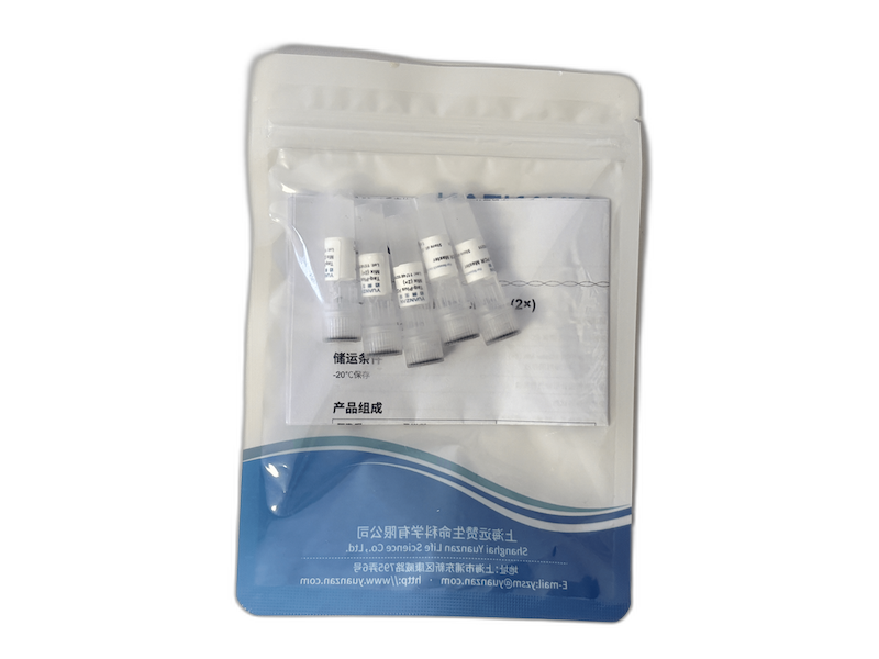 PCR-Reagenzien